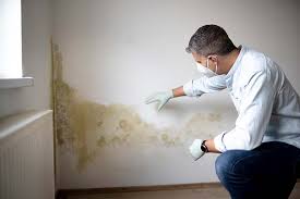 Best Real Estate Mold Inspection  in Hughestown, PA